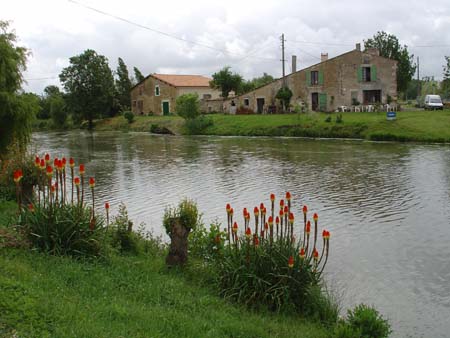DSC00826