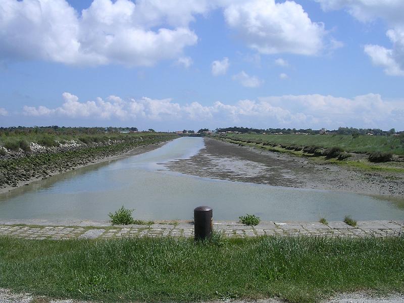 DSCN5186.JPG