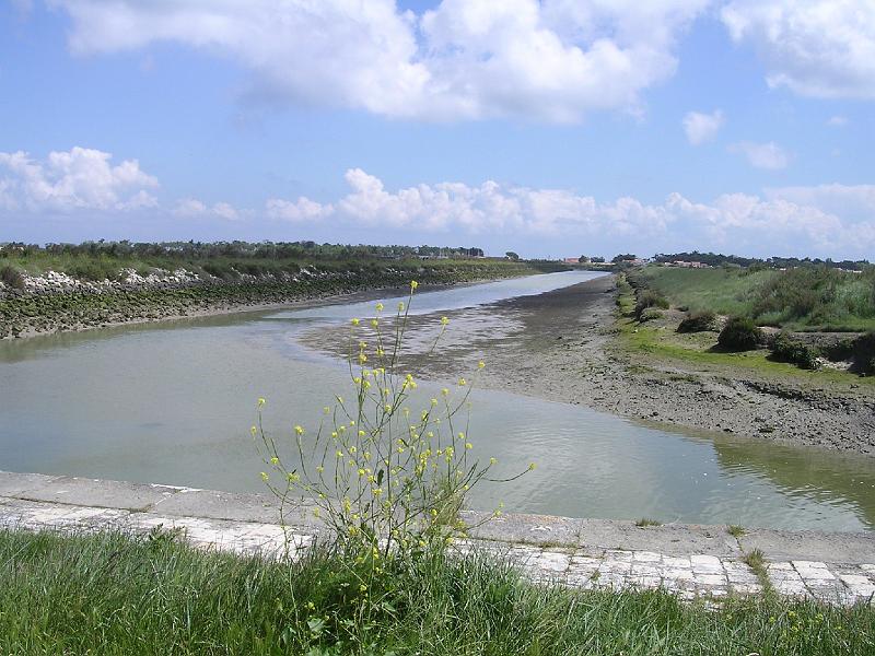 DSCN5187.JPG