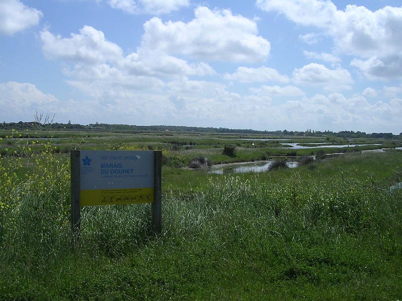 DSCN5188.JPG