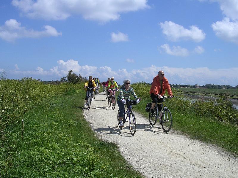 DSCN5190.JPG