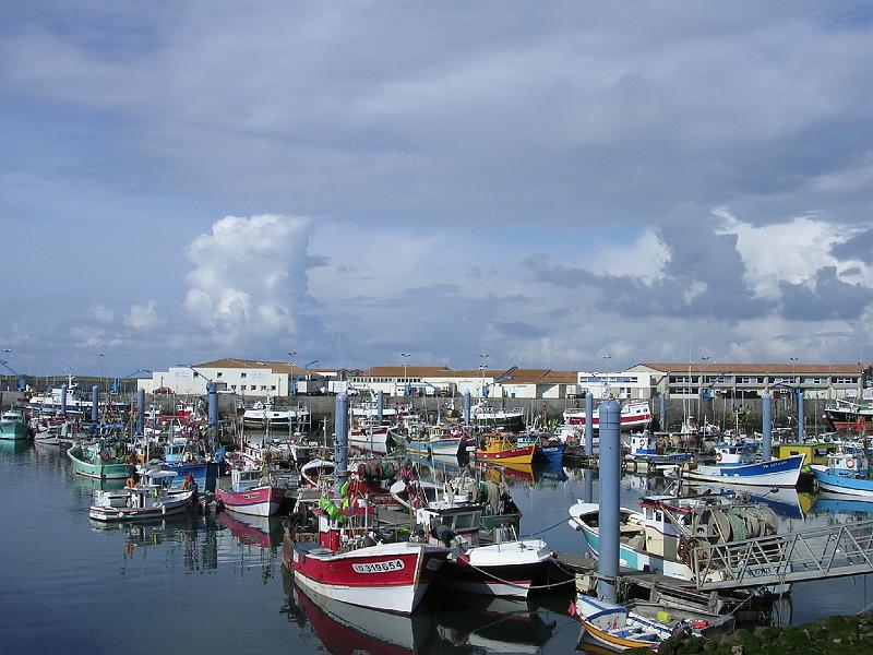 DSCN5222.JPG