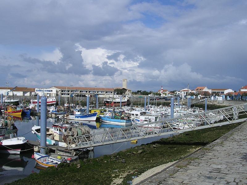 DSCN5223.JPG