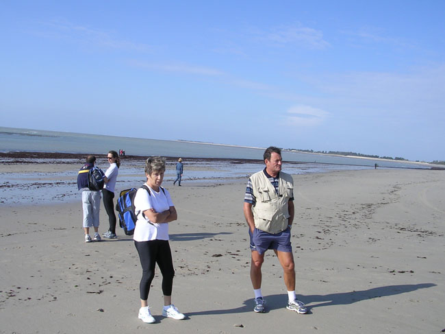 Photo 006