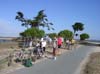 Photo 005