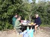 Photo 017